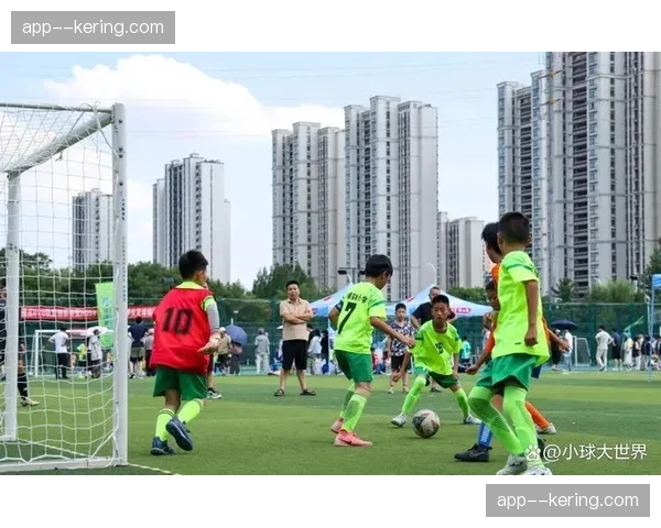 多特蒙德青训学院与本地大学合作开设体育管理课程 多特蒙德青训学院与本地大学合作开设体育管理课程